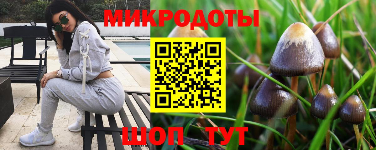 Волгодонск  Галлюциногенные грибы GOLDEN TEACHER  Вход с VPN 